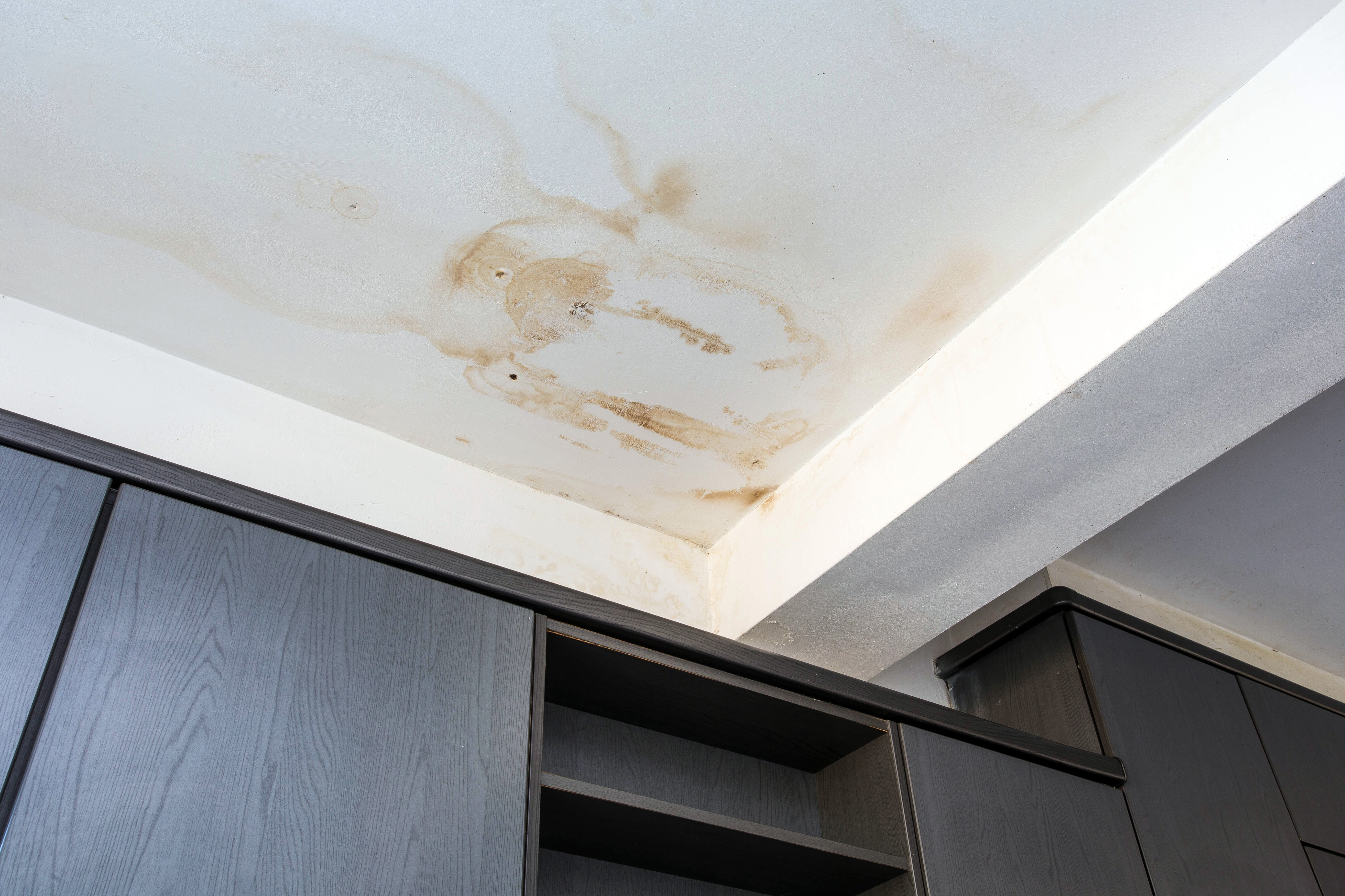 Water stain on ceiling drywall