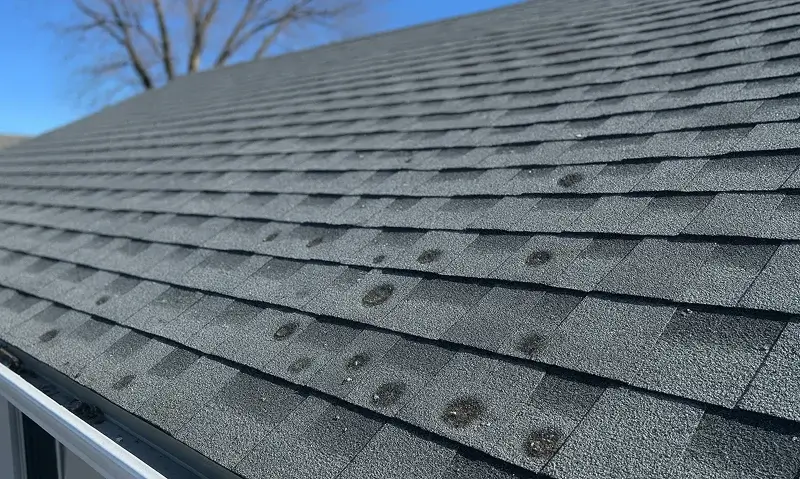 Blue tarp secured over damaged roof section